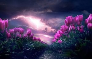 spring storm