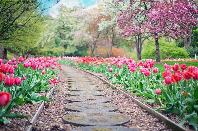 spring time